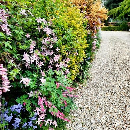Ivy House Barn, Heckingtonヴィラ エクステリア 写真