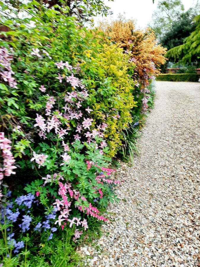 Ivy House Barn, Heckingtonヴィラ エクステリア 写真